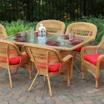 Vintage Rattan Dining Chairs