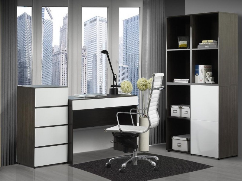 Office Decorations Ideas