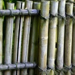 Bamboo Fence Design Ideas