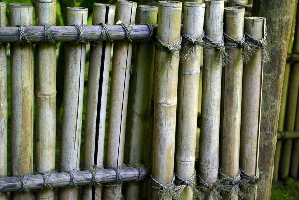 Bamboo Fence Design Ideas