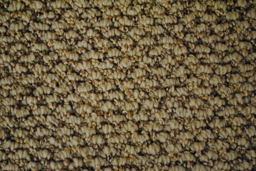 Berber Carpet Installation