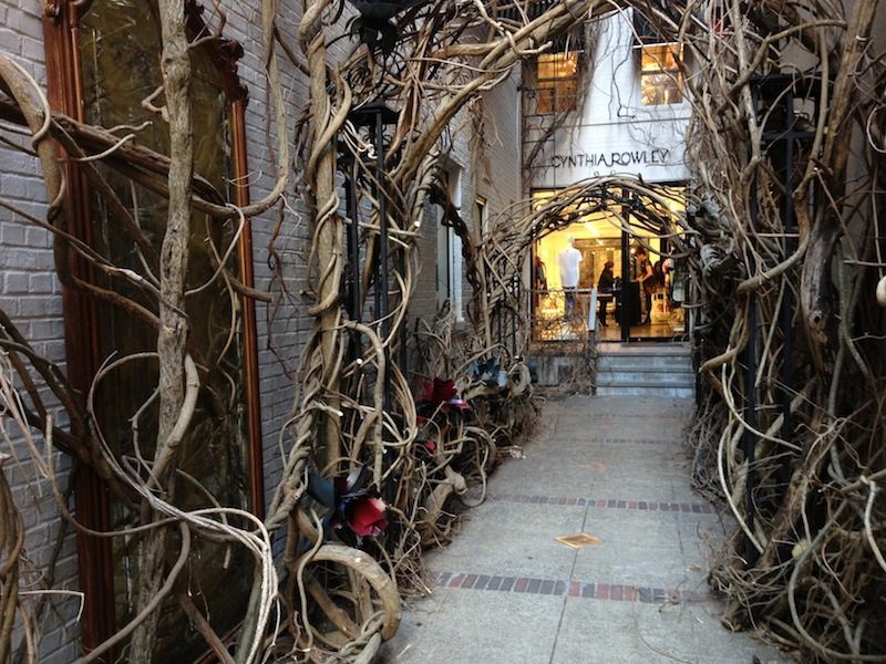Cynthia rowley decor