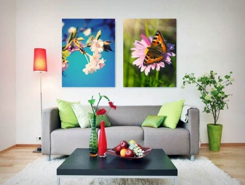 Cynthia rowley pillows