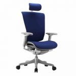 Ergonomic Office Chairs Reviews