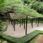 Small Zen Garden Design Ideas