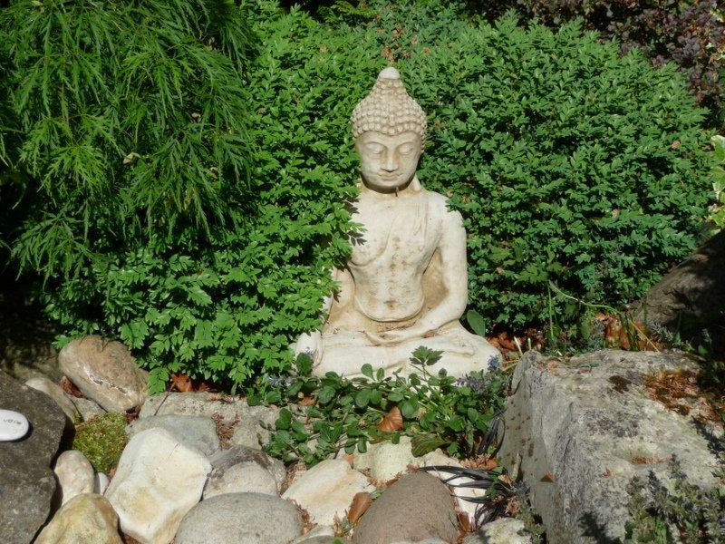 Zen garden ideas