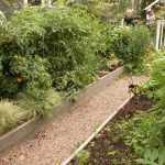 Cheap Small Vegetable Garden Plan