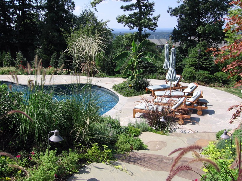 Pool landscape design