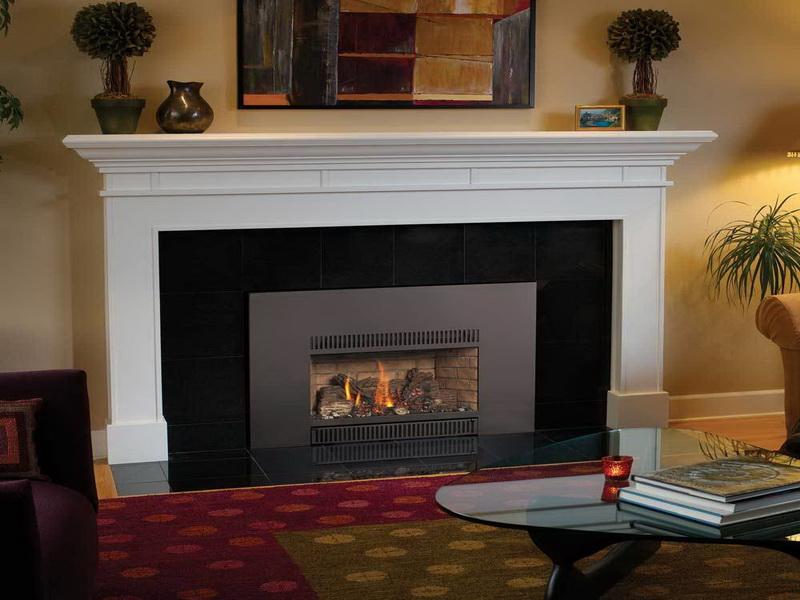 Prefab fireplace inserts