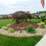 Simple Landscape Design