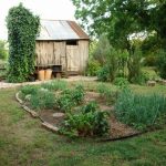 Small Vegetable Garden Plans