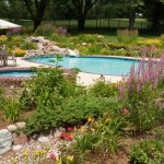 Tropical Pool Landscaping Ideas