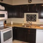 Contemporary Kitchen Cabinets