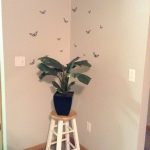 Butterfly Wallpaper For Home