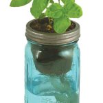 Self Watering Indoor Planter With Organic Basil Seeds