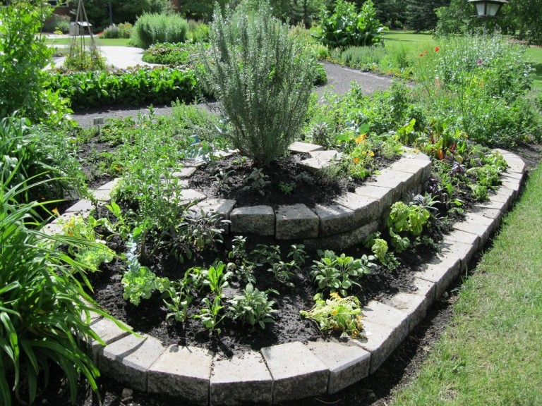 Herb garden design ideas