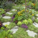 Small Herb Garden Design Ideas